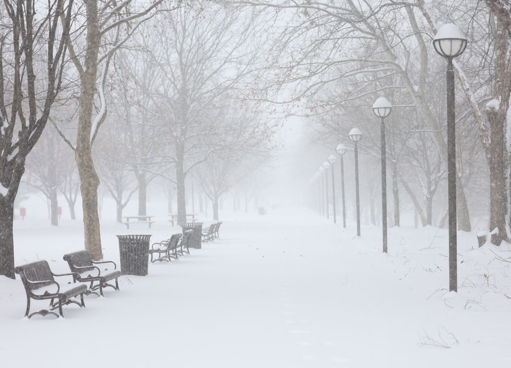 Waterfront Park in snow - Jan. 5, 2025.JPG